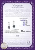 product certificate: FW-B-AAAA-78-E-Colleen