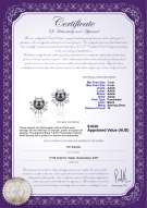 product certificate: FW-B-AAAA-78-E-Natasha