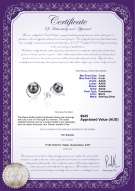 product certificate: FW-B-AAAA-78-E-Raina
