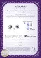 product certificate: FW-B-AAAA-78-E-Raina