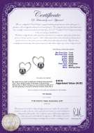 product certificate: FW-B-AAAA-78-E-Vanessa