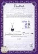 product certificate: FW-B-AAAA-78-P-Daria