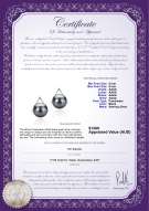 product certificate: FW-B-AAAA-89-E-Africa