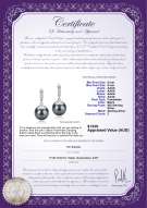 product certificate: FW-B-AAAA-89-E-Aoife