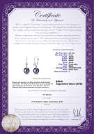 Product certificate: FW-B-AAAA-89-E-Illuminate-WG
