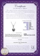 product certificate: FW-B-AAAA-89-P-Kendra