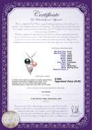 product certificate: FW-BPW-AAAA-67-P-Grape