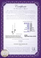 product certificate: FW-BW-AAAA-78-E-Dolly