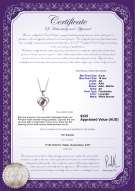 product certificate: FW-L-AA-910-P-Leeza