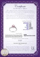 product certificate: FW-L-AAAA-67-R-Andrea
