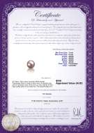 product certificate: FW-L-AAAA-78-L1