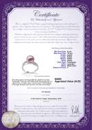 product certificate: FW-L-AAAA-910-R-Caroline