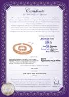 product certificate: FW-P-A-67-S-DBL