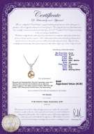 product certificate: FW-P-AA-910-P-Nancy