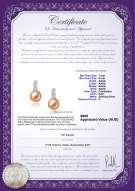 product certificate: FW-P-AAAA-78-E-Valery