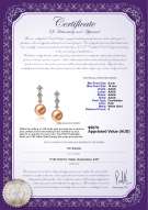 product certificate: FW-P-AAAA-910-E-Rozene