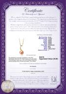 product certificate: FW-P-AAAA-910-P-Sora