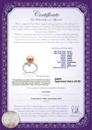product certificate: FW-P-AAAA-910-R-Grace