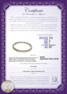 product certificate: FW-W-A-1011-N
