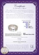 product certificate: FW-W-A-67-B-DBL