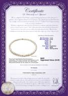 product certificate: FW-W-A-78-N