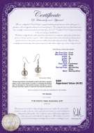 product certificate: FW-W-A-89-E-Teresa