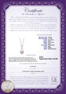 product certificate: FW-W-AA-1011-P-Fotina