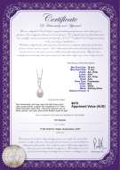 product certificate: FW-W-AA-1011-P-Rabia