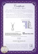 product certificate: FW-W-AA-1011-P-Rylie