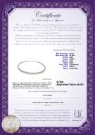 product certificate: FW-W-AA-510-N
