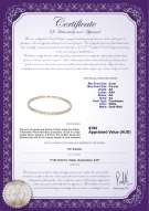 product certificate: FW-W-AA-556-N