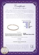 product certificate: FW-W-AA-6575-N