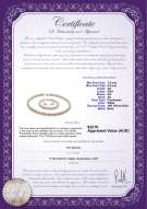 product certificate: FW-W-AA-7585-S