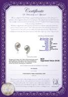 product certificate: FW-W-AA-78-E-Claudia