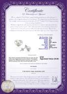 product certificate: FW-W-AA-78-E-Katie