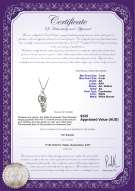 product certificate: FW-W-AA-78-P-Eudora