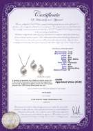 product certificate: FW-W-AA-78-S-Claudia
