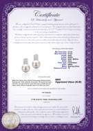 product certificate: FW-W-AAA-89-E-Alina