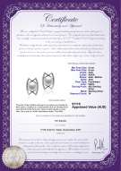 product certificate: FW-W-AAA-89-E-Odelia