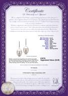 product certificate: FW-W-AAA-910-E-Melinda