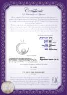 product certificate: FW-W-AAA-910-P-Moon