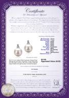 product certificate: FW-W-AAAA-1011-E-Hailey