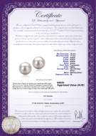 product certificate: FW-W-AAAA-1011-E-Tammy