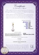 product certificate: FW-W-AAAA-1011-P-Brianna