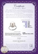 product certificate: FW-W-AAAA-1011-R-Tindra