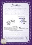 product certificate: FW-W-AAAA-67-E-Jamelia