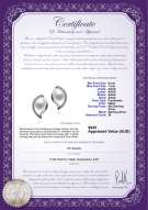 product certificate: FW-W-AAAA-67-E-Lilia