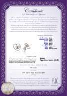 product certificate: FW-W-AAAA-67-E-Winna