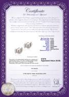 product certificate: FW-W-AAAA-67-E-Zorina