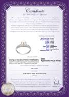 product certificate: FW-W-AAAA-67-R-Cristy